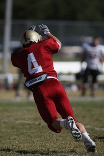 DB电竞分析入口-那不勒斯战平波尔图,莱万扑点救主足总杯