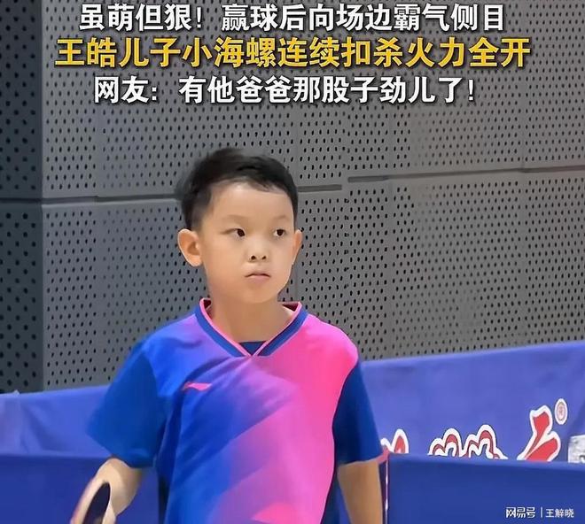 DB电竞解说-日本乒乓球队爆冷波兰乒乓球队，王皓高光表现的简单介绍